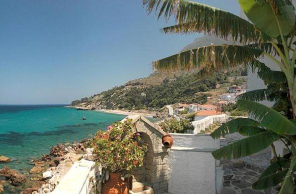 Alkioni